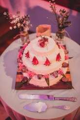 garden to ghetto wedding_Colin Hockey (59)