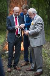 woodland festival wedding (10)