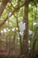 woodland festival wedding (3)