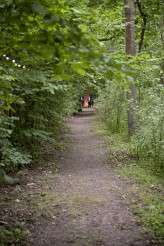 woodland festival wedding (5)