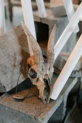 Concrete Jungle va Urban Tropics Bridal Shoot (4)