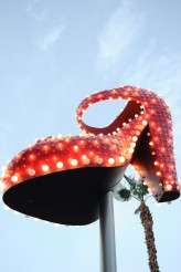 Downtown Las Vegas Elopement (9)