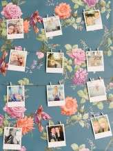 Lavender_geek_wedding_Kate_Lowe_Photography (19)