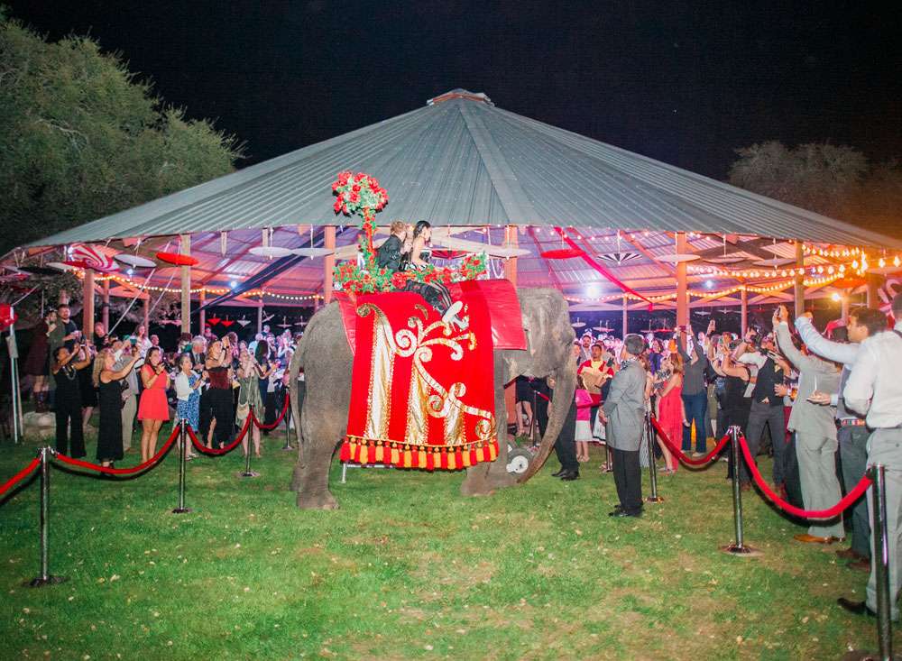 A Carnival and Circus Themed Wedding Reception · Rock n Roll Bride
