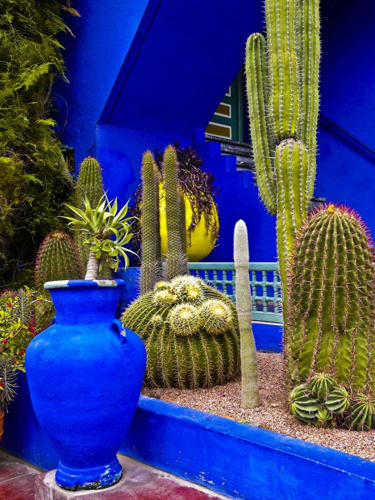 jardin majorelle (2)