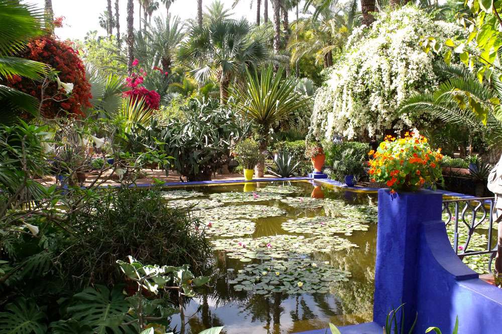 jardin majorelle (4)