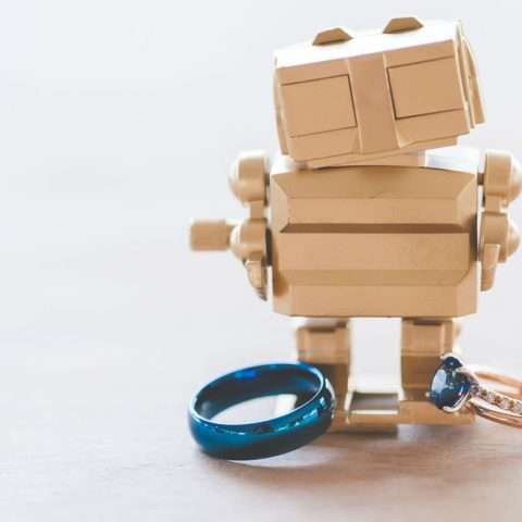 robot and dino wedding (17)