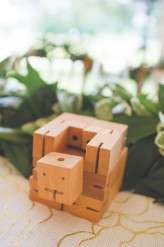 robot and dino wedding (43)