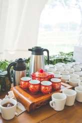 robot and dino wedding (45)