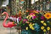 tropical and colourful wedding at Asylum_weheartpictures (14)