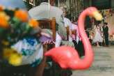 tropical and colourful wedding at Asylum_weheartpictures (46)