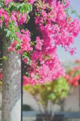 Alternative Elopement in Portugal_Adriana Morais Photography (17)