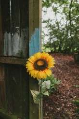 Bohemian Festival Wedding with African Roots_MillieBenbowPhotography (13)