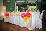 Colourful Caribbean wedding_Assassynation (14)