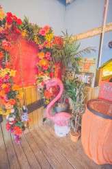 Don’t Tell The Bride Vibrant Bollywood Wedding in Brighton_Rosa and Harry (113)