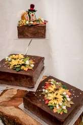 colourful back garden wedding_matt_badenoch_photography (9)