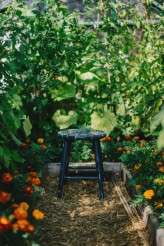 Intimate and Meaningful Wedding at Home (3)