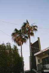 Pearl-Hotel-Retro-Wedding_letsfrolictogether_0114