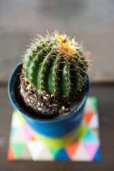 colourful Old Fort wedding (9)