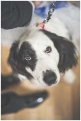 punky italian wedding (10)