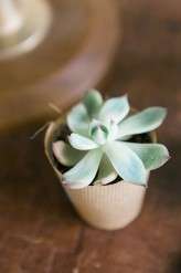 Blanccoco_Photographe_Mariage_Combi_Rock_Couvent_des_Carmes_Grenoble-213