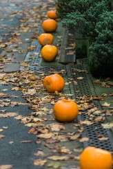 Glamorous Autumn Wedding with a Tattooed Bride and Groom (42)