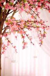 NATIONAL WEDDING SHOW ROCKNROLLBRIDE COLLECTION 2016 (3)