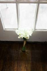 Pinuparboretumelopment_madelinebarrphoto-15