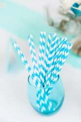 Seaside Turquoise Vintage wedding (21)