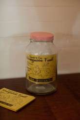 Wes Anderson Seel Magnolias Retro Wedding (35)