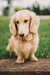 colourful retro french wedding (13)