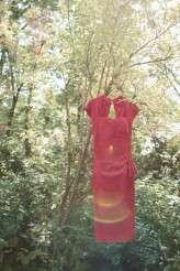 retro lesbian wedding Holland and Germany (1)