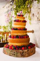 133Stowfordfarm_cathunter_lushimaging-6962