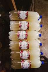 165Stowfordfarm_cathunter_lushimaging-7004