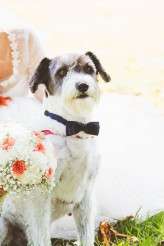 1960s wedding in Germany (42)