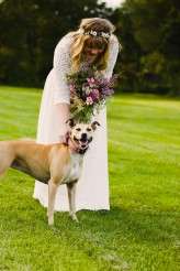 475Stowfordfarm_cathunter_lushimaging-1878