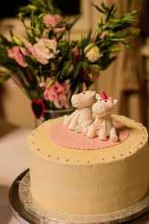 Alice in Wonderland, Unicorns, Cats and Glitter (34)