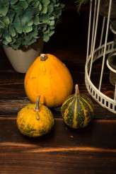 Autumnal Brighton Wedding (40)