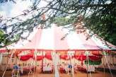 Big Top Devon Countryside Wedding (11)