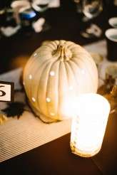 View More: http://photos.pass.us/polimikekinshellawedding