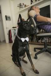 Lesbian wedding in Israel (7)