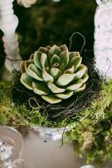 Romantic forest wedding in South Africa (20)