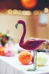 Colourful Cosatto Dont Tell the Bride Wedding (48)