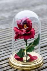 DIY Disney Themed Wedding (61)