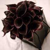 Elopement Photography in Loch Lomond Scotland by Tino&Pip-070