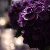 Elopement Photography in Loch Lomond Scotland by Tino&Pip-261