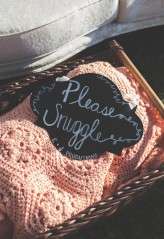 Isola Farms wedding (35)