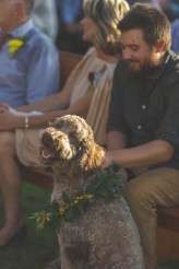 Isola Farms wedding (45)