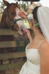 Isola Farms wedding (68)