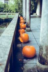 Mexican Day of the Dead Wedding at Halloween (14)